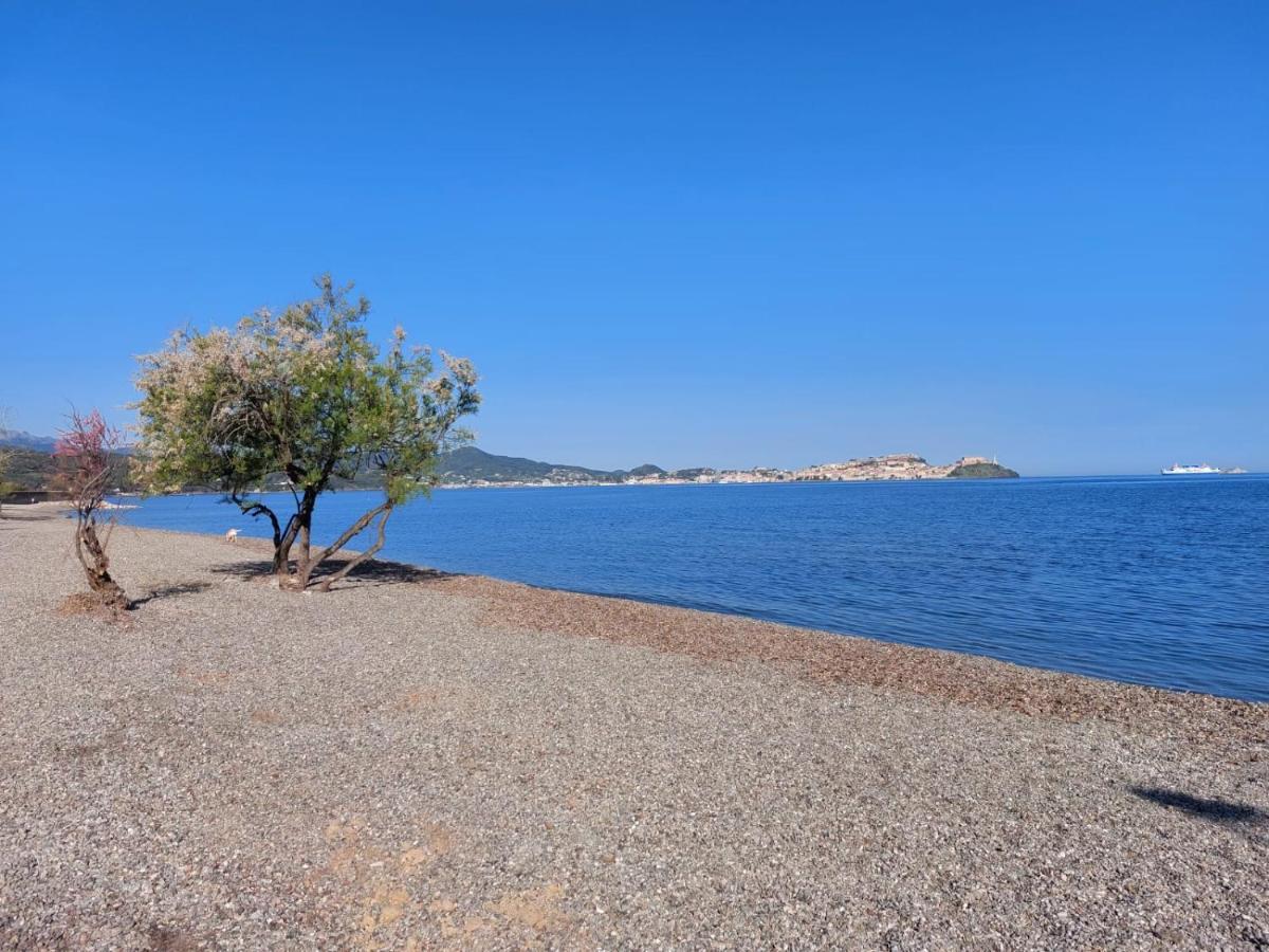 Villa Giolu Portoferraio Εξωτερικό φωτογραφία