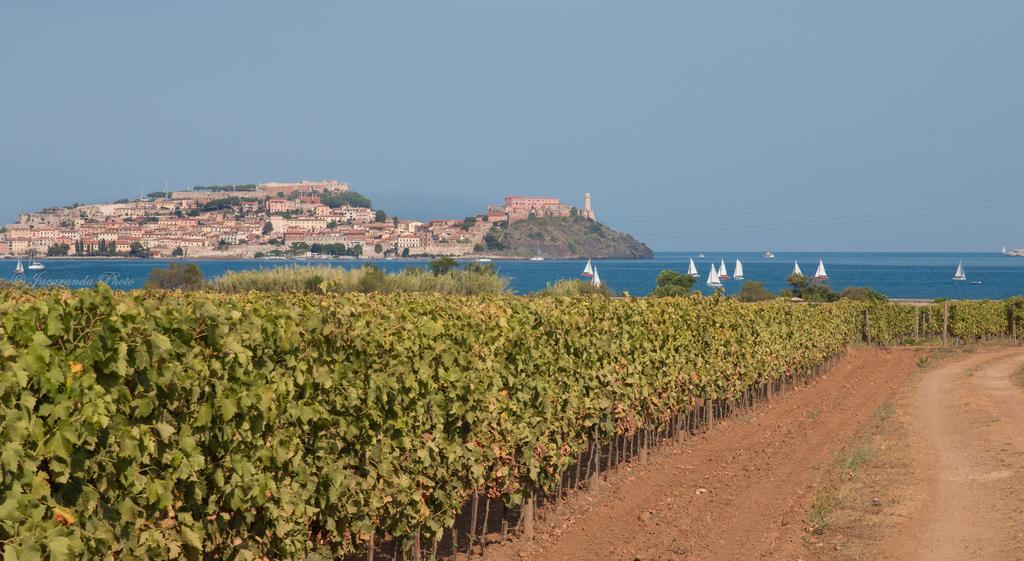 Villa Giolu Portoferraio Εξωτερικό φωτογραφία